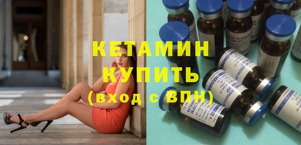 крисы Кулебаки