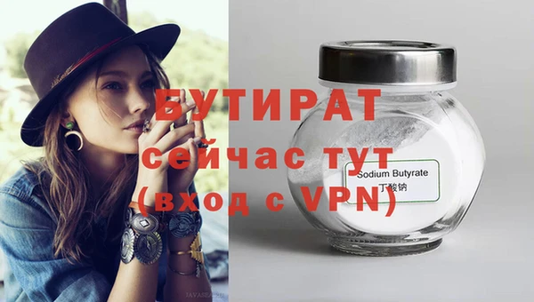 крисы Кулебаки