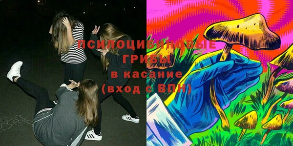 твердый Куйбышев
