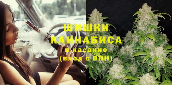крисы Кулебаки
