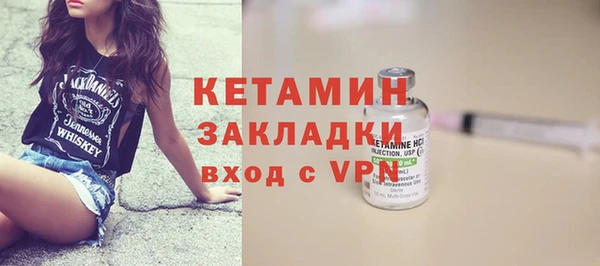крисы Кулебаки