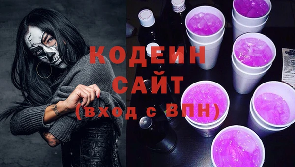 крисы Кулебаки