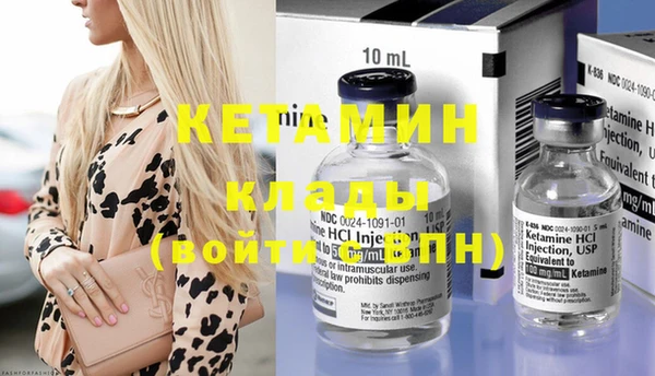 крисы Кулебаки