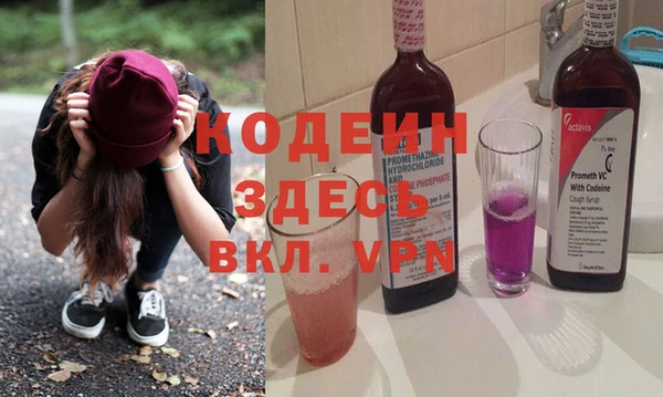 крисы Кулебаки