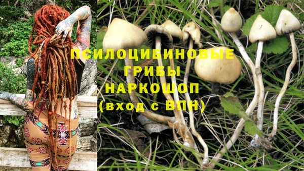 крисы Кулебаки