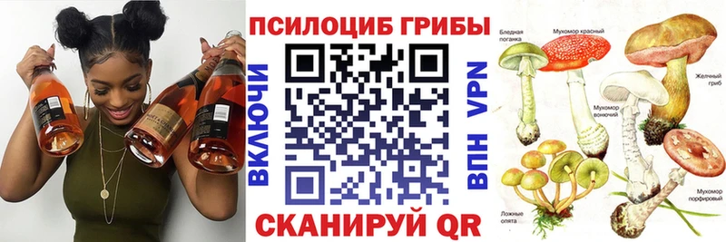Галлюциногенные грибы GOLDEN TEACHER  Купить  Лодейное Поле 
